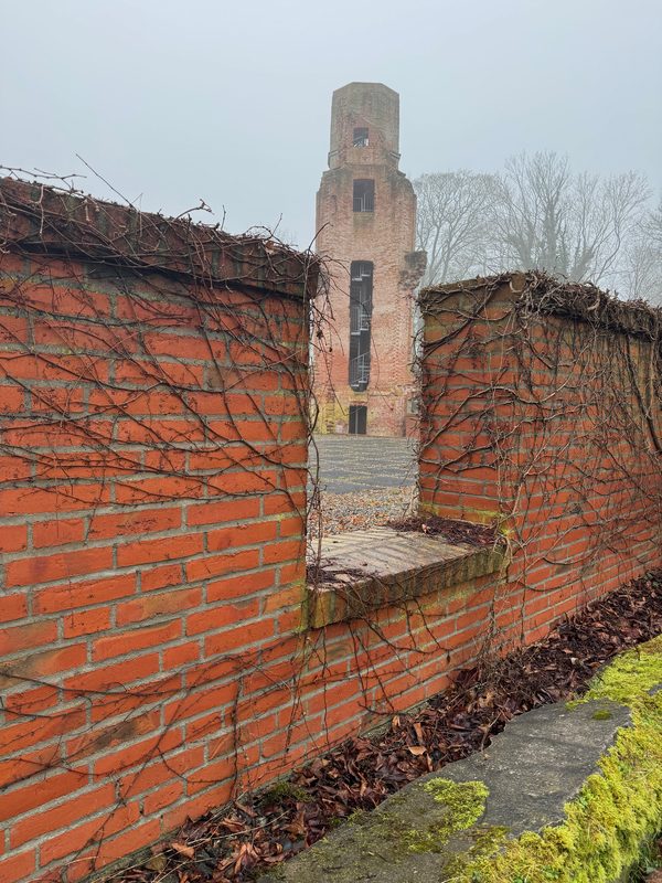 Turmruine, Januar, vormittags, Nebel