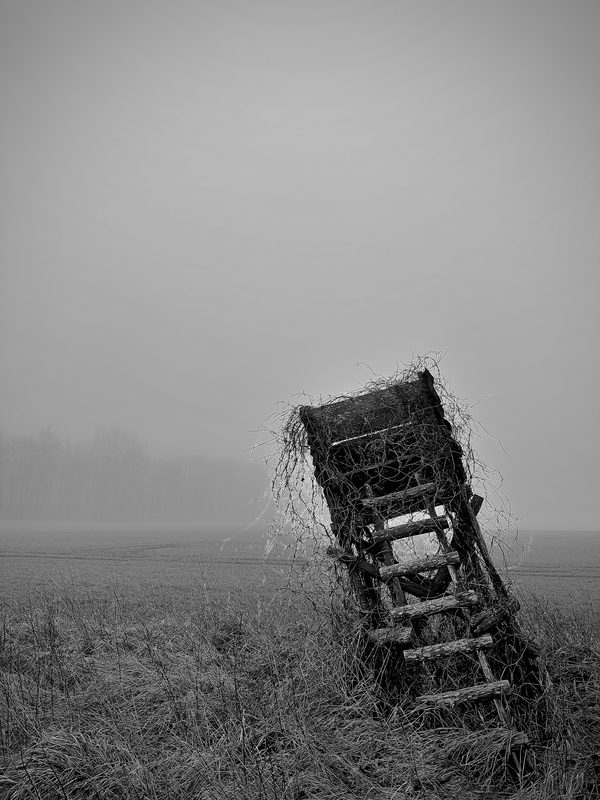 Feldrand im Nebel, Januar, vormittags